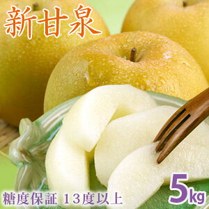 新甘泉(しんかんせん)梨 5kg詰(10〜14玉入) 鳥取県産 梨 赤秀 送料無料(北海道・沖縄を除く)