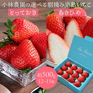 є_̑Iׂ钩E݊n 500gi12`15j 挧IWiViuƂĂv/u͕PiЂ߁jv 嗱 w엿sgp _ C`S  t[c  Mtg v[