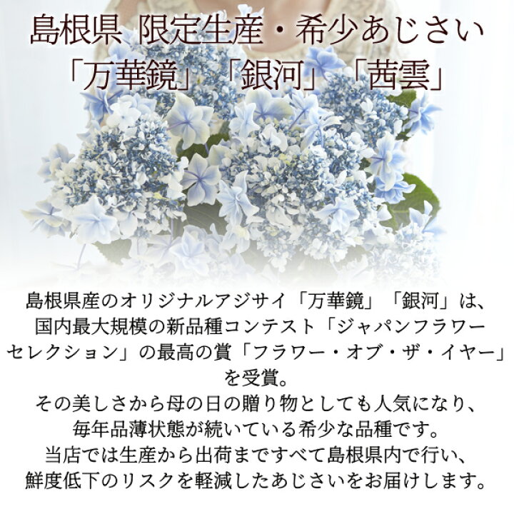 楽天市場 母の日 プレゼント ギフト 花 22 島根県産 あじさい鉢植え 選べる3品種 万華鏡 銀河 茜雲 送料無料 北海道 沖縄を除く パーソナルギフト 風味絶佳 山陰