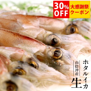 �y�労�Ӎ� 30%OFF�N�[�|���z�z�^���C�J �Ⓚ �� ���H �h�g 750g�i150g×5�p�b�N�j�`1.5kg�i150g×10�p�b�N�j ������ ���{�C�Y �ق��邢�� ����Ԃ���� ���������i�k�C���E����������j