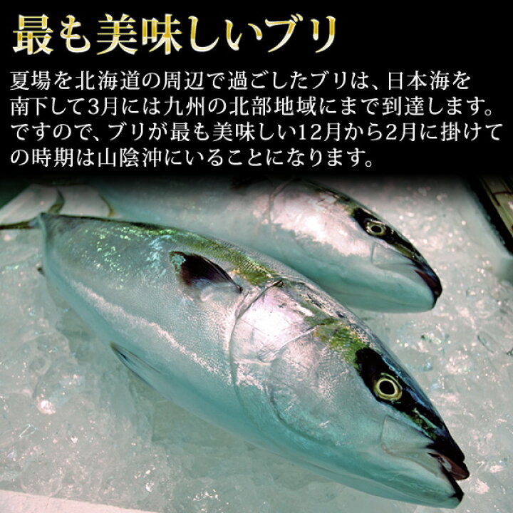 楽天市場 天然ブリ 寒鰤 寒ブリ 9kg前後 出荷時 三枚おろし 限定 送料無料 北海道 沖縄を除く パーソナルギフト 風味絶佳 山陰