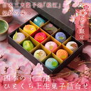 母の日 プレゼント ギフト スイーツ 和菓子 2020『春季限定 四季の十二撰 ひとくち上生菓子詰合せ(黒漆箱・風呂敷包み) 送料無料(北海道・沖縄を除く)』