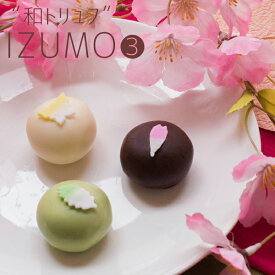 坂根屋 “和トリュフ”IZUMO3個入 ネット限定 風味絶佳.山陰