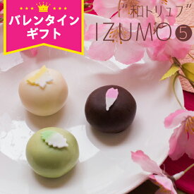 バレンタイン チョコ 2026 チョコレート ギフト 『坂根屋 “和トリュフ”IZUMO5個入』 ネット限定バレンタインチョコレート 大量 ばらまき おしゃれ かわいい 個包装 義理チョコ 本命 子供 おもしろチョコ お菓子 プレゼント プチギフト 職場 1000円以下