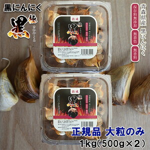 nɂɂXY 嗱 ɍ ݁E o lߍ킹 1kgi500g×2pbN) Ki 嗱