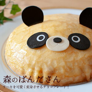 aP[L LN^[ ߋ p_ ς ̃P[L `Rv[g  I[ig 1000~ȏ̃XC[cƂ̓p Pił̍w͎LZ