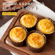 敬老の日 スイーツ スイートポテト おしゃれ ギフト 誕生日 プレゼント 生 スイートポテト 4個入 6個入 9…