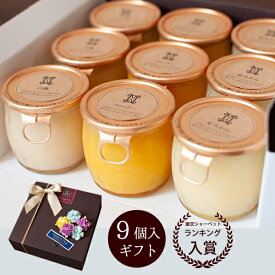 父の日 ギフト 誕生日プレゼント アイス ソルベ スイーツ ギフト アイスデザート 誕生日 プレゼント 送料無料 凍らせて シャーベット ギフトセット 常温配送 高級 なめらかシャーベット9個入 Bセット 果実感たっぷり 贅沢 大人 デザート お中元 父の日限定 ラッピング無料