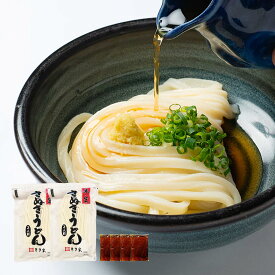 本格手打 もり家 ぶっかけ うどん 讃岐うどん さぬきうどん 半生 (お試し (4人前))