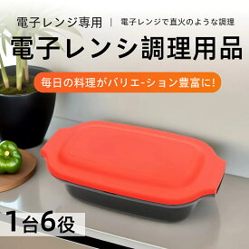 まとめ買い10％OFFクーポン】電子レンジ 焼き魚 電子レンジ調理器 焼く グリル 食洗機対応 魚焼き器 目玉焼き 魚焼き ヒロコーポレーション 食洗器対応 HDL-5444 電子レンジ専用調理器 魚 ステーキ 煮物 肉じゃが 焼肉 modere 人気 焼き芋 レンジクック 揚げ物 チキン