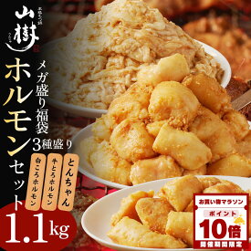 【マラソン中P10倍】メガ盛りホルモンセット 福袋 ホルモン 焼肉 国産 総重量1.1kg メガ盛り 牛とろホルモン300g 白ころ300g とんちゃん500g ポッキリ価格 牛 牛ホルモン 味噌 塩 焼き肉 BBQ お取り寄せグルメ バーベキュー 宅飲み おかず 焼くだけ 味付け 肉 冬グルメ