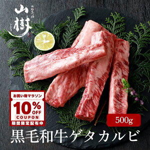 y}\10%N[|tz Y Q^Jr 500g Jr јa BBQ p[eB R BBQ Yјa o[xL[ ґ  ē Mtg  蕨 Ⓚ a 