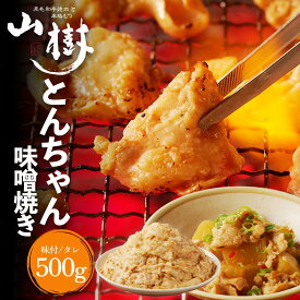 とんちゃん 500g 国産 ホルモン 焼肉 ホルモン焼き 豚ホルモン 豚とんちゃん タレ漬け 豚肉 ほるもん 焼肉用肉 焼き肉 バーベキュー BBQ 味付き肉 味付け肉 美味しいお取り寄せ お取り寄せ グルメ 山樹 ギフト 冷凍 焼くだけ 味付 お中元 夏ギフト