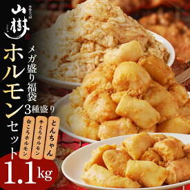 メガ盛りホルモンセット 福袋 ホルモン 国産 総重量1.1kg メガ盛り 牛とろホルモン300g 白ころ300g とんちゃん500g ポッキリ価格 牛 ホルモン 焼肉 牛ホルモン 味噌　塩 焼き肉 BBQ お取り寄せグルメ バーベキュー 宅飲み おかず 焼くだけ 味付け 肉