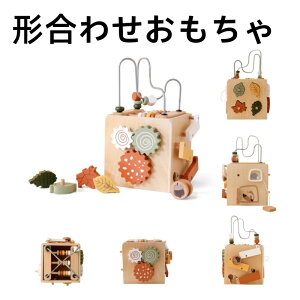 形合わせ おもちゃ 知育玩具 あそび箱 木製 型はめ ルーピング ビーズコスーター そろばんゲーム カウンティングおもちゃ 歯車遊び 森の遊び箱 形状認識 指先遊び 図形認知 空間認識 ビーズ