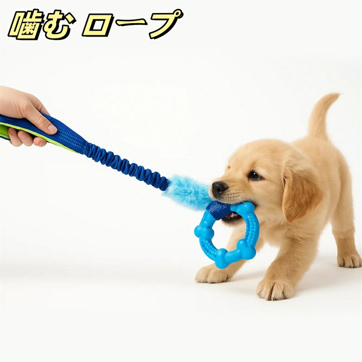 犬 おもちゃ 犬のおもちゃ 犬用おもちゃ 骨 ロープ 歯磨き ロープトイ 子犬 噛む 頑丈 丈夫 噛むおもちゃ : バリュートラスト - 通販 -  Yahoo!ショッピング 犬の咀嚼のおもちゃ 犬のロープのおもちゃの犬の噛むおもちゃの子犬歯が生えるおもちゃ子犬の噛み玩具のタグ犬小さな中犬 (色 : Mul