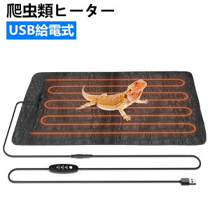 _100~N[|聕Pő47{^঒ q[^[ plq[^[  q[^[ USBd 3iKx ^C}[ݒ q[g}bg ybgq[^[ /঒/ɍœK Li33X17.5