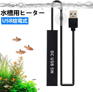 _100~N[|聕Pő47{^pq[^[ ^ q[^[ 5W usb^ Mыq[^[^  T ^  q[^[ USBdP26 5LK ~jq[^[ p Mы 