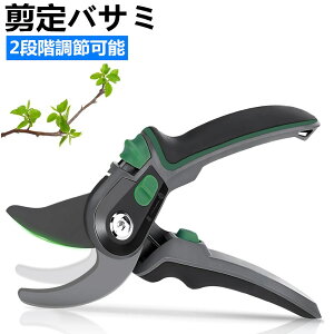 oT~  ΂ 2iK߉\ SK85Yf| A~ }؂oT~ |nT~ |p͂ Kтɂ J35mm yʉA~nh ₷ ʎ  ~ 뉀