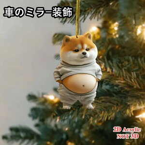 1̂킢J[gD[̃noOANԂ̃~[ - 킢IWƔ̌ADF̕𒅂āA2Dy_gAobN~[L[z_[ɓKĂAȃo^C