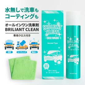 水なし オールインワン 洗車 コーティング剤 ブリリアントクリーン マイクロファイバークロス付き エアゾールタイプ 自動車用 洗車 艶出し コーティング剤 450ml