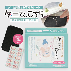 yz_j񂱂 10Zbg U Eܕsgp _j ߊl sDzV[g{ E܁yNbN|Xgzywsz