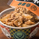 吉野家 牛丼の具 1袋（120g）×10袋