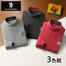 彩香 サルーンエクスプレス 刺繍入りハイネックセーター 3色組 AS-0024 1セット（3枚：3色×各1枚）