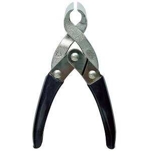 t@~[ECt { ̂炭炭܍ 1