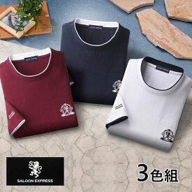 彩香 サルーンエクスプレス 5分袖Tシャツ 3色組 C907353 1セット（3枚：3色×各1枚）