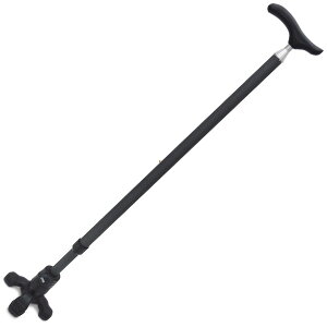 ebNX IbZxO @\XebL 4x_Z[teBx[Xt 1{