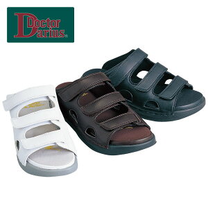 r[EF hN^[_EX Ì̐琶܂ꂽT_ DD00100 1