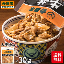 吉野家 牛丼の具 大盛 1袋（160g）×30袋