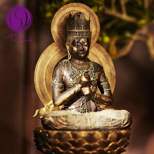 MORITA CX TanaCOCOROuv@ TC3521 1