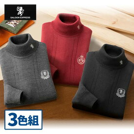彩香 サルーンエクスプレス 刺繍入りタートルネックセーター 3色組 AS-0405 1セット（3枚：3色×各1枚）