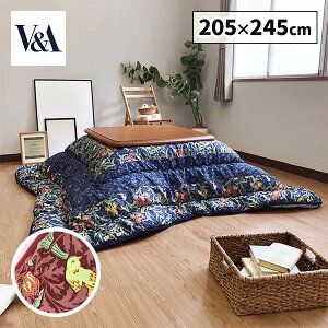 }X V&A ` |ӂƂ ACX 2820-5223 1