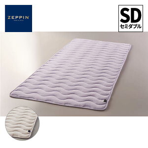 �f�B�[�u���X ZEPPIN �p�C�� �~���p�b�h �Z�~�_�u�� ZP-S6017M 1��