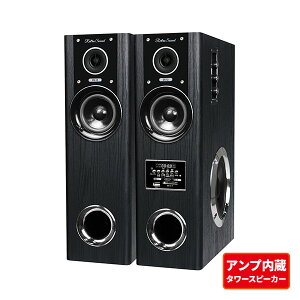N}ULGC Retro Sound _Ci~bN TEhXs[J[ DS-12 1