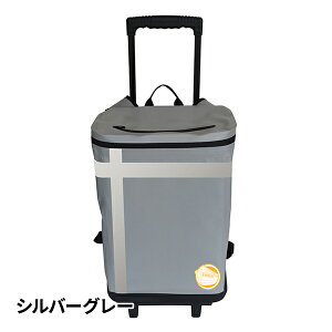 ebNX EX.48 hЃobO hЎmuU[Yf 1lpAhoX MTCY 1Zbg