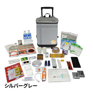 ebNX EX.48 hЃobO hЎmuU[Yf 2lpAhoX MTCY 1Zbg