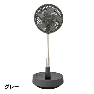 ebNX EXELUX R[hXÉT[L[^[@ 20cm 1