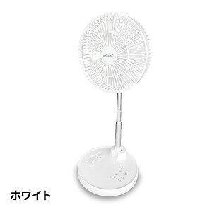 ebNX EXELUX R[hXÉT[L[^[@ 25cm 1