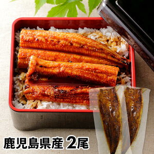 V Y 肤Ȃ 2 1ZbgFĂ110g×2