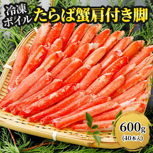 CO[hWp {YCKj rLTCY ނg {C Ⓚ 600g 600gi40{j:300gi20{j×2pbN