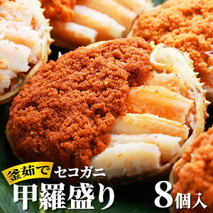 ACubW ɌZY ZRKjb 8 1ZbgF8