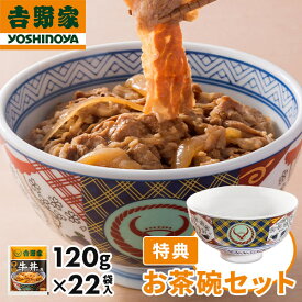 【数量限定】 吉野家 牛丼の具 22袋入 お茶碗プレゼント 1セット：1袋（120g）×22袋