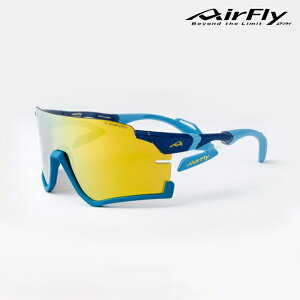 �W�S�X�y�b�N AirFly�i�G�A�t���C�j �@�Ŋ|���Ȃ����]�Ԑ�p�T���O���X VITESSE ���B�e�X AF-306RE 1��