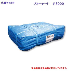 u[V[g 3000 3.6m × 3.6m y 1 zngڕt R[i[K[ht{V[g ЍP~J