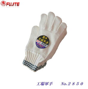 y { zV HR 12og NoD2850@͏ 100xm܍HƁiFUJITEj