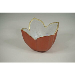 уX^[_韺@؍@Lcā@{@@t@aH ϋ ̃fp[gON 